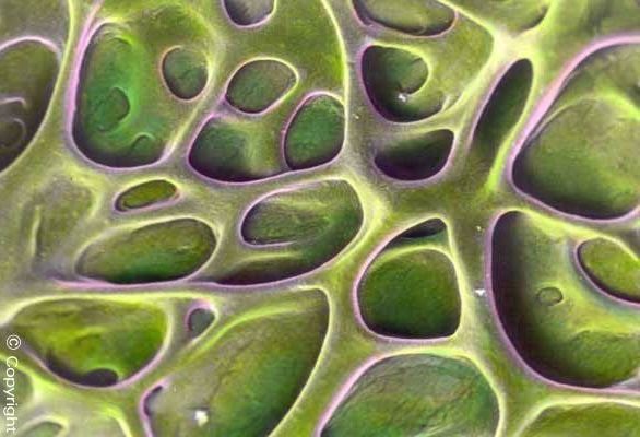 Co-Creating Community Digital Infrastructures